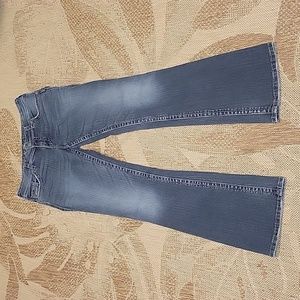 Silver Suki Surplus Flares size 30x32